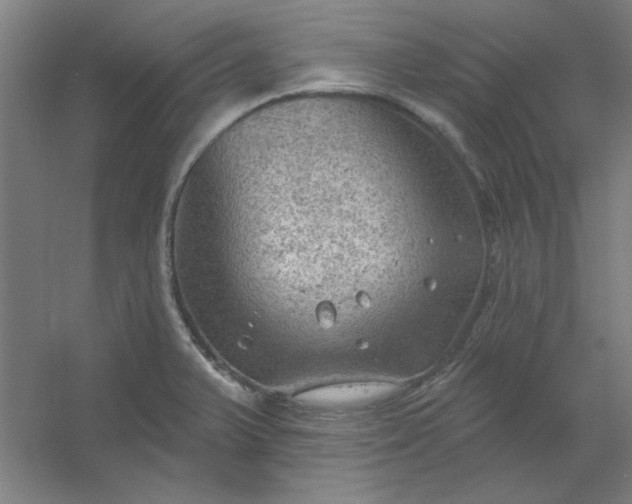 X0000054401375200508121648