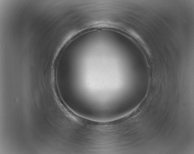 X0000054401376200508121648