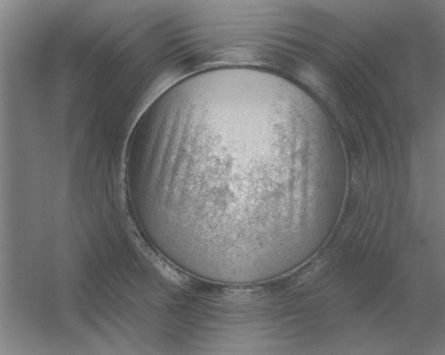 X0000054401378200508121648