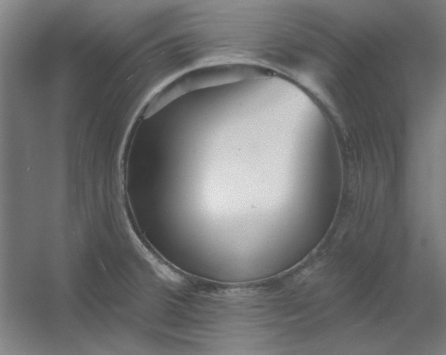 X0000054401380200508121648