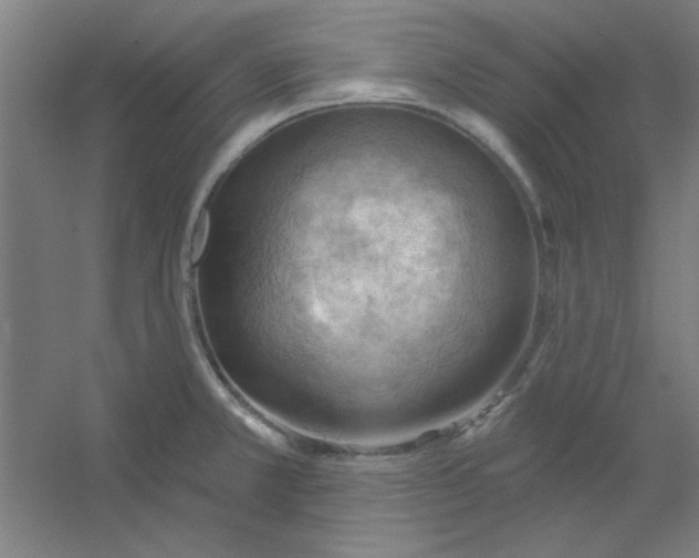 X0000054401381200508121647