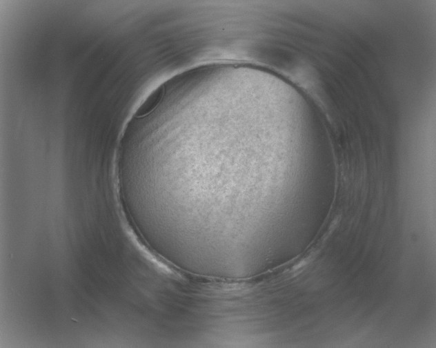 X0000054401382200508121647