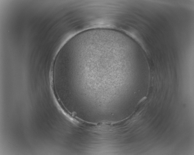 X0000054401383200508121647