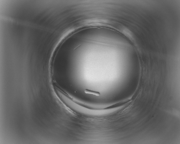 X0000054401384200508121647