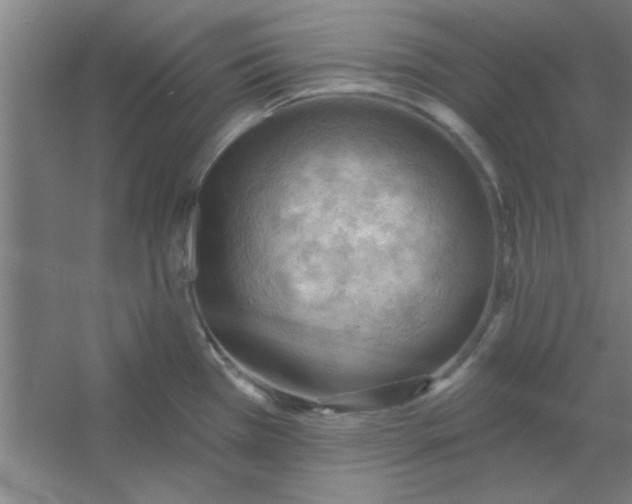 X0000054401385200508121647