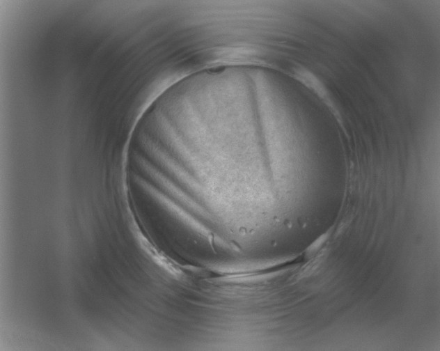 X0000054401386200508121647