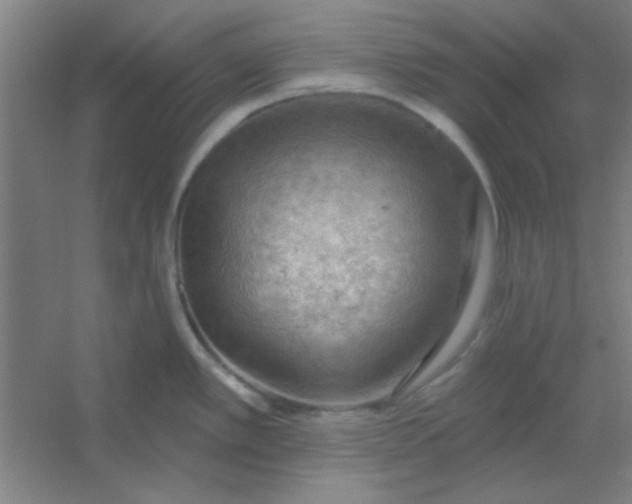 X0000054401389200508121647