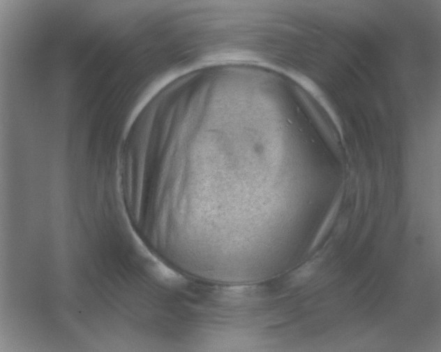 X0000054401390200508121647