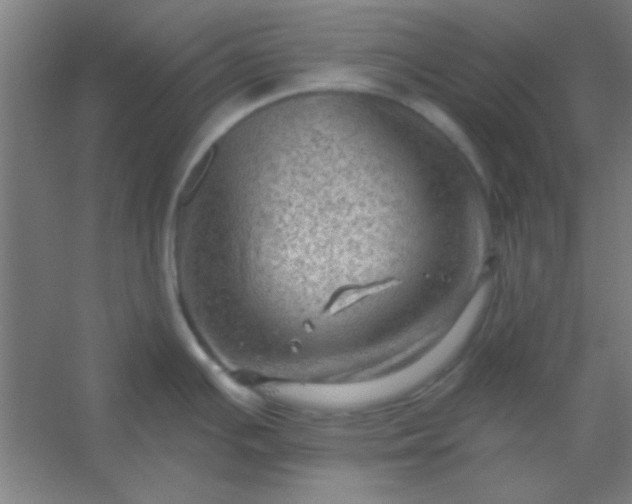 X0000054401391200508121647