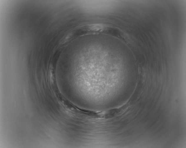 X0000054401394200508121647