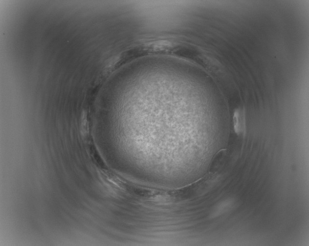 X0000054401395200508121647