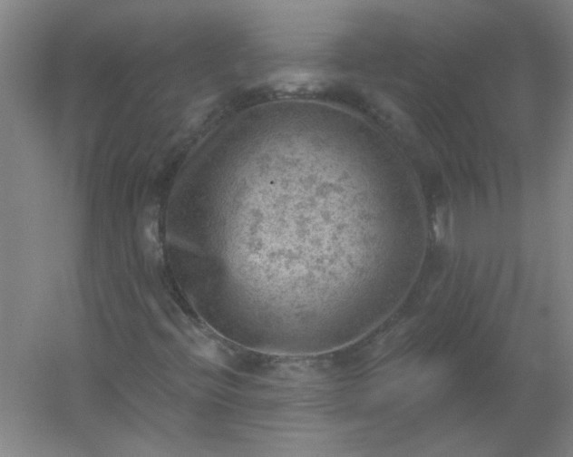 X0000054401396200508121647