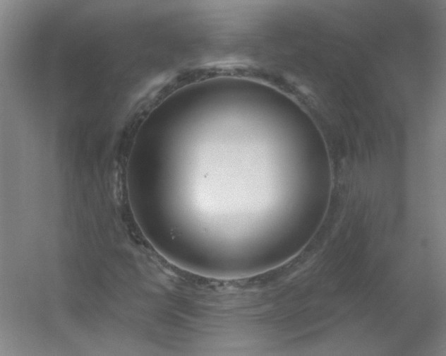 X0000054401398200508121647