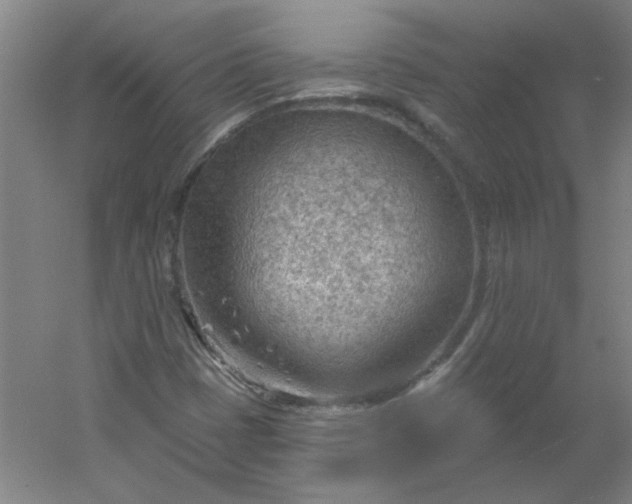 X0000054401401200508121647