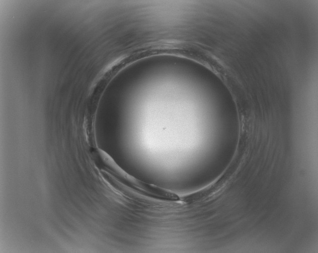 X0000054401402200508121647