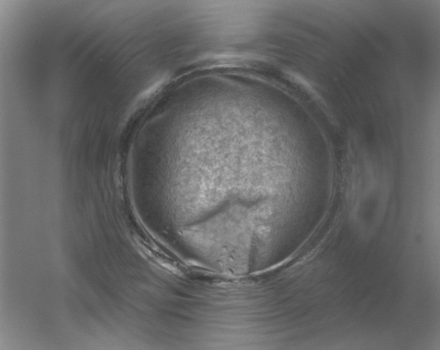 X0000054401403200508121647