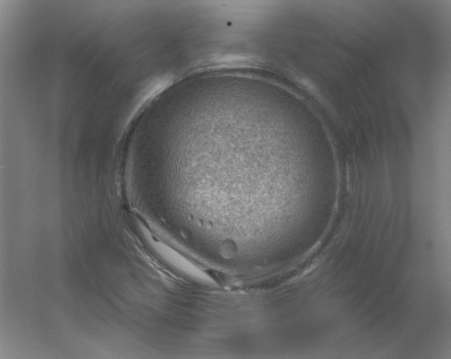 X0000054401405200508121647