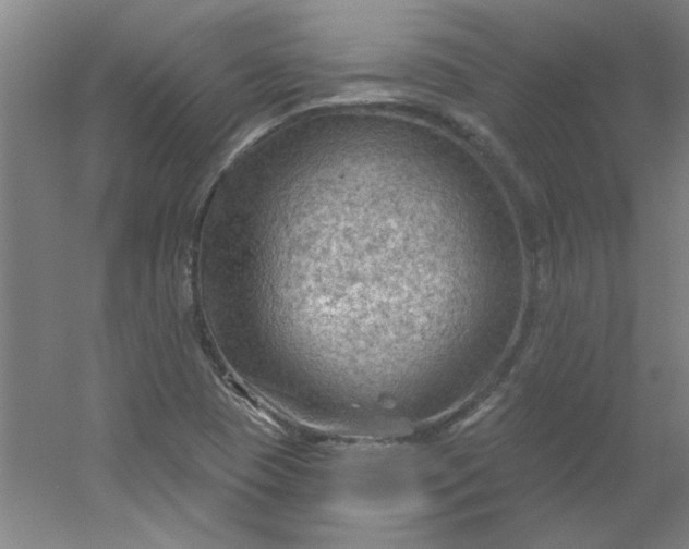 X0000054401409200508121647