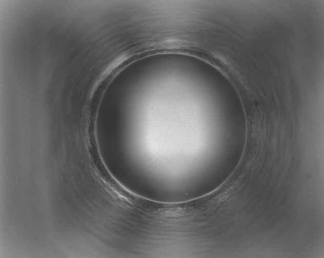 X0000054401410200508121647