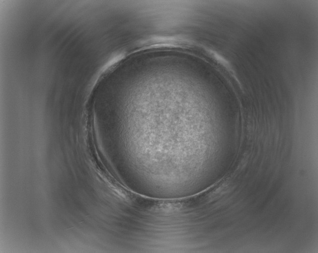 X0000054401411200508121647