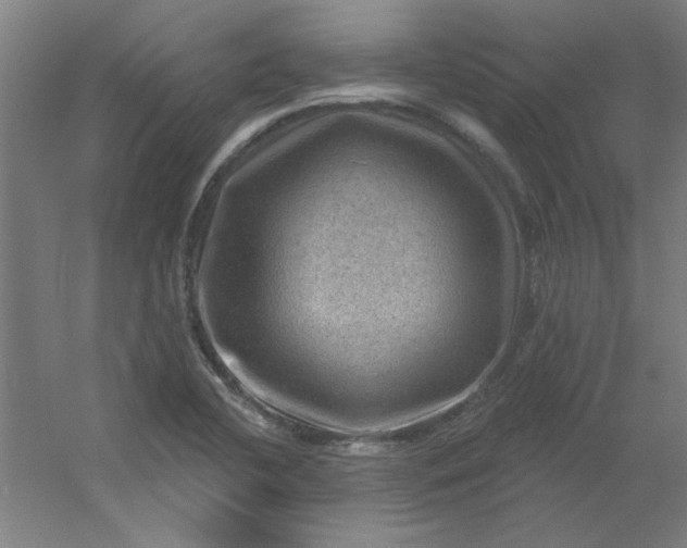 X0000054401412200508121647