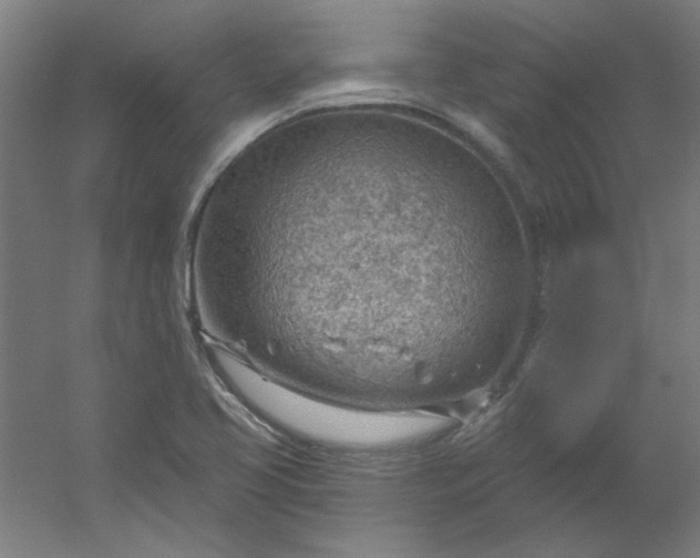 X0000054401413200508121647