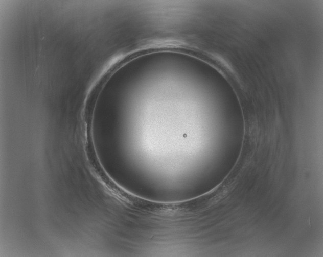 X0000054401414200508121647