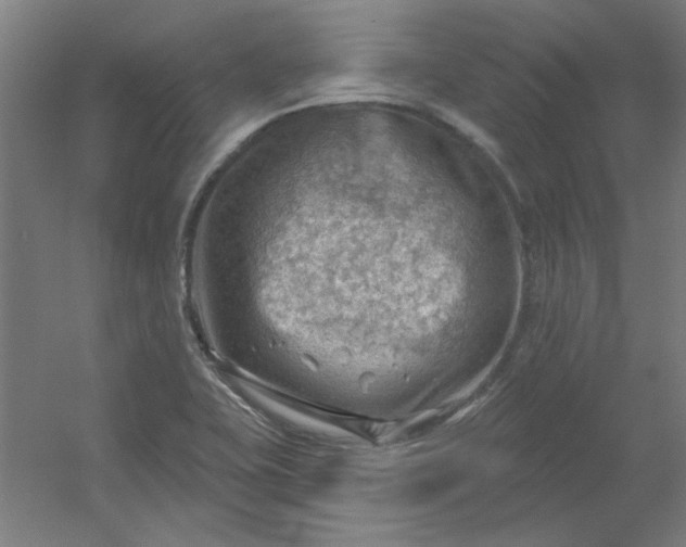 X0000054401415200508121647