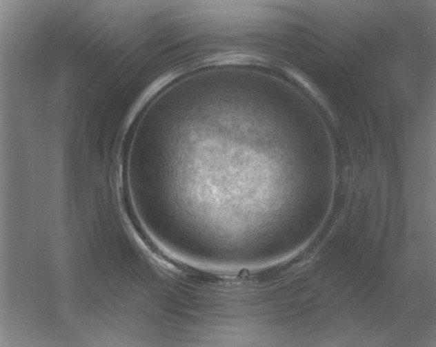 X0000054401418200508121647