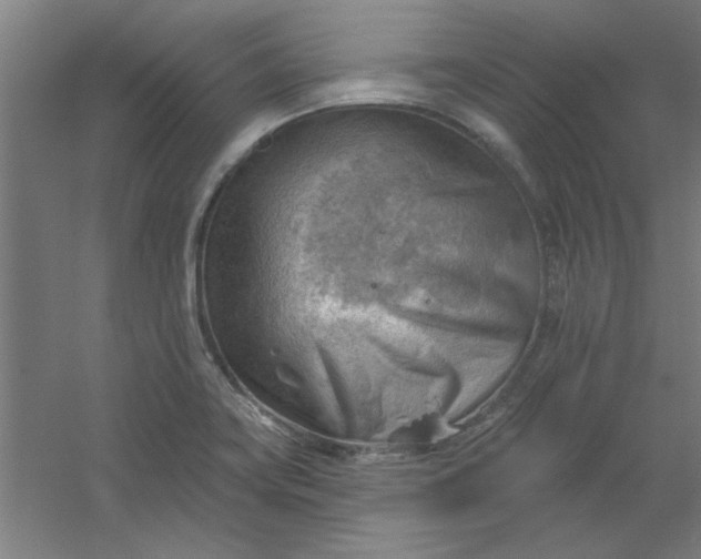 X0000054401419200508121647