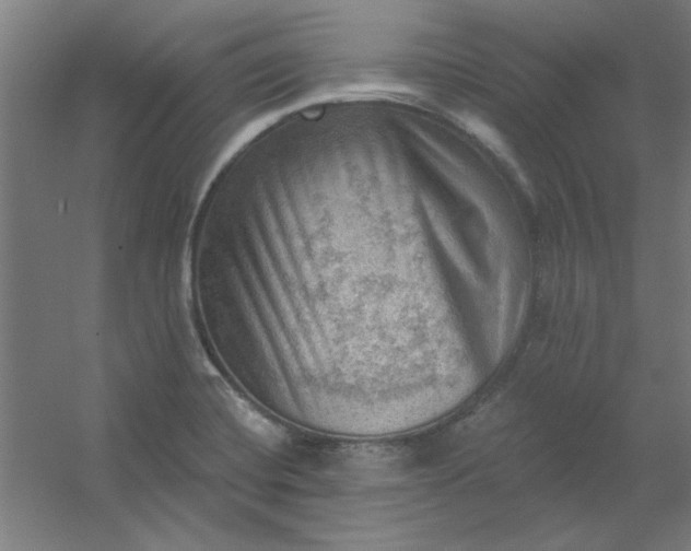 X0000054401420200508121647