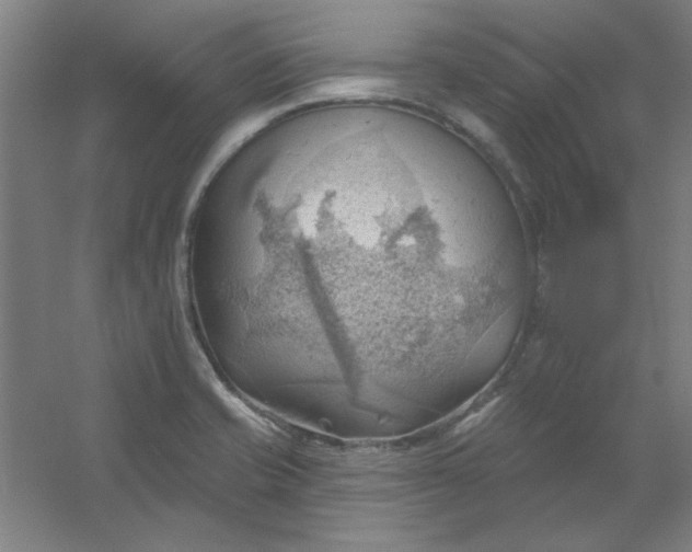 X0000054401421200508121647