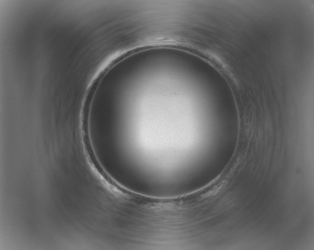 X0000054401422200508121647