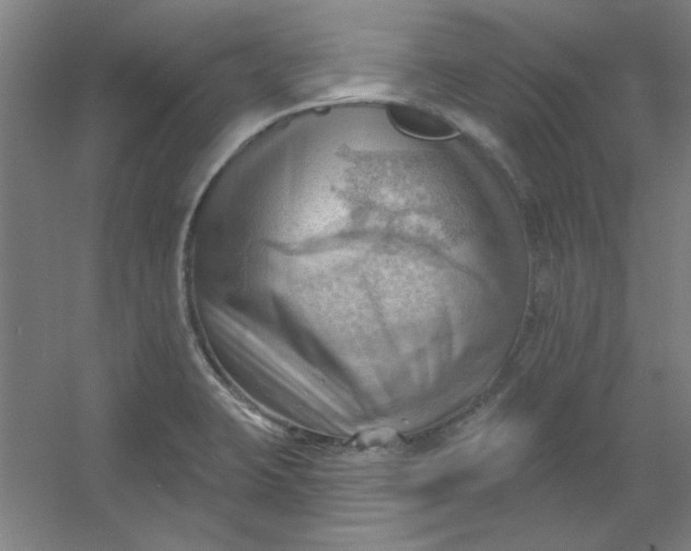 X0000054401423200508121647