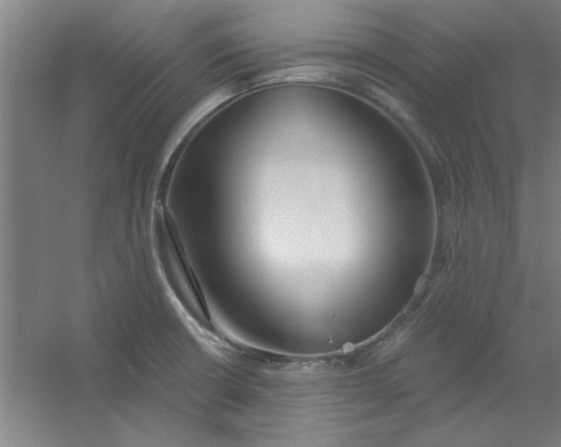 X0000054401426200508121647