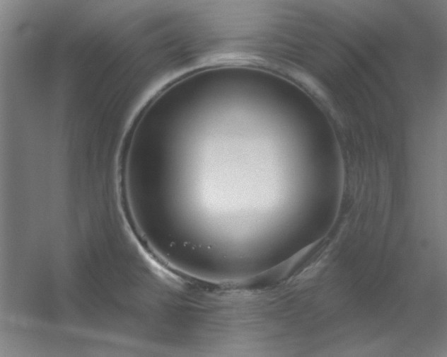 X0000054401430200508121647