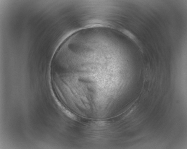 X0000054401431200508121647