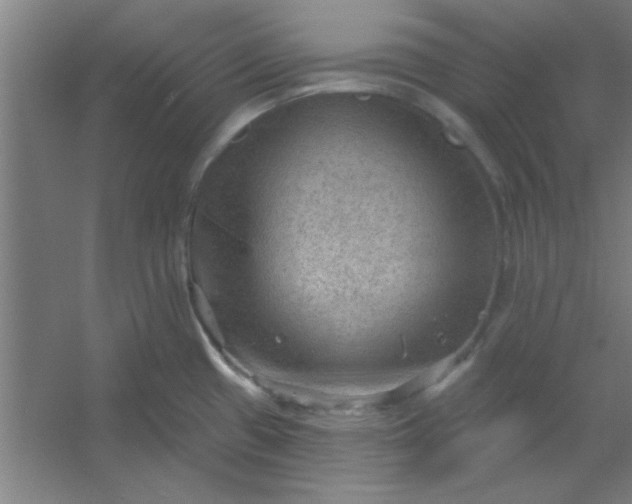 X0000054401433200508121647