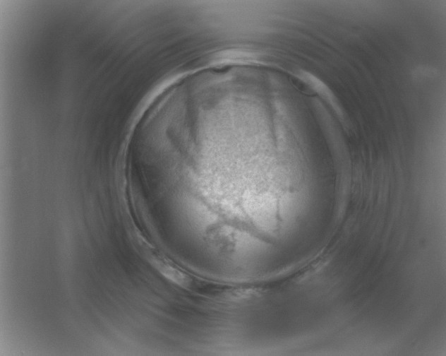 X0000054401435200508121647