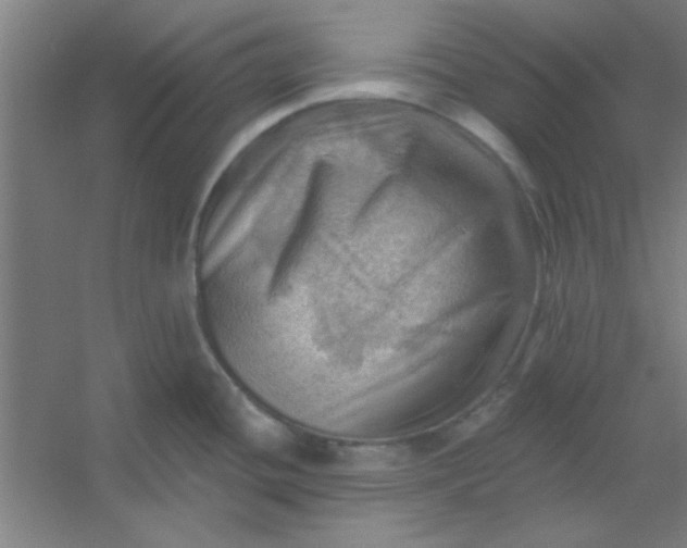 X0000054401436200508121647