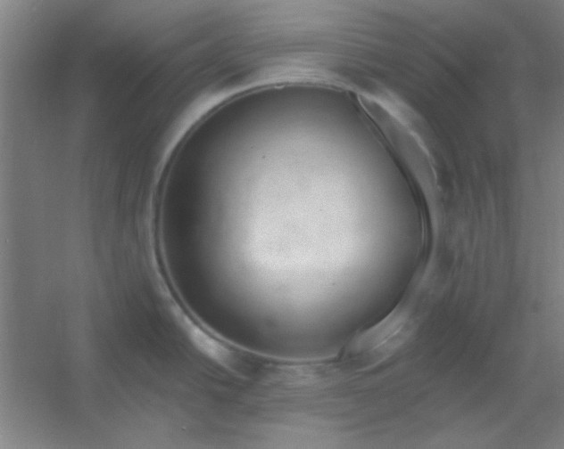 X0000054401438200508121647