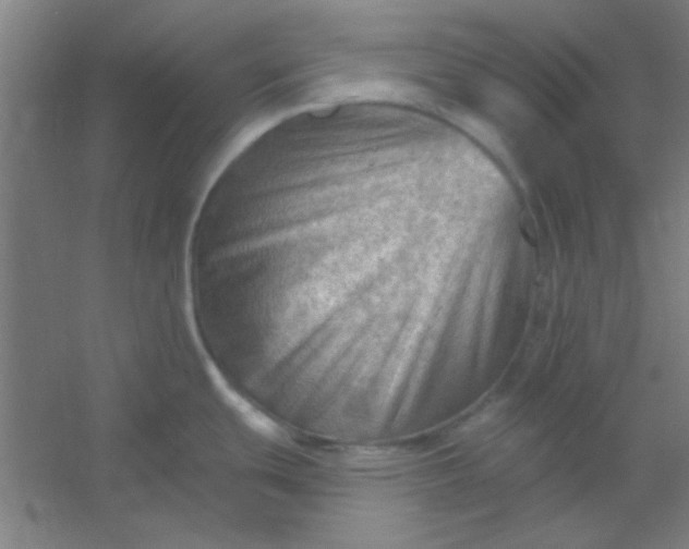 X0000054401439200508121647