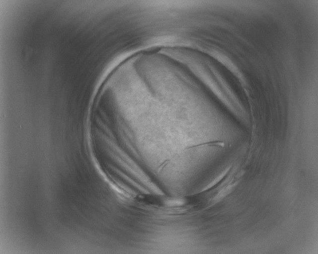 X0000054401440200508121647