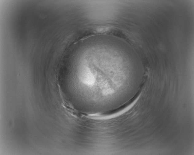 X0000054401441200508121646