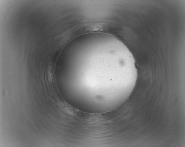 X0000054401442200508121646