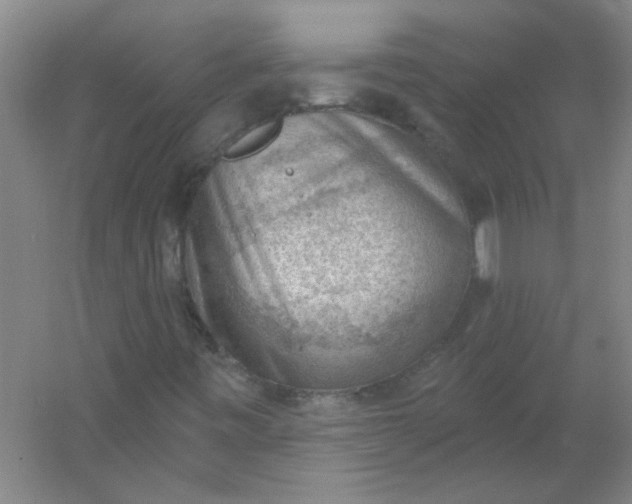 X0000054401443200508121646