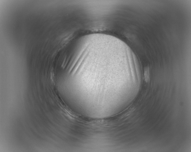 X0000054401444200508121646