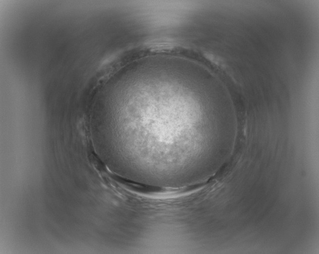 X0000054401445200508121646