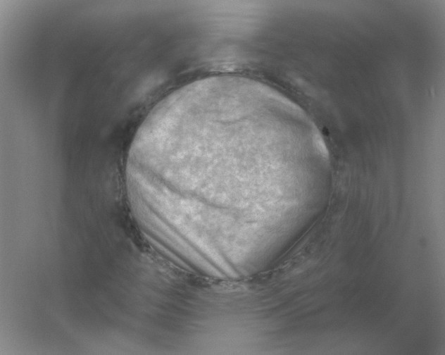 X0000054401446200508121646