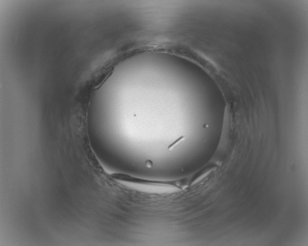 X0000054401447200508121646